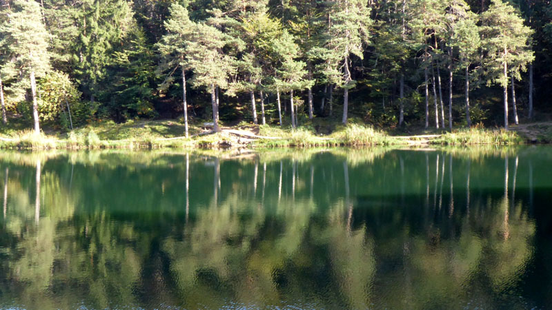 Laghi.......del TRENTINO